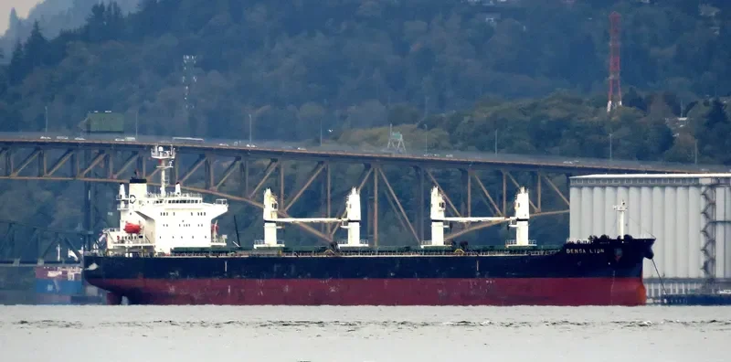 DENSA LION Bulk Carrier IMO 9432464 photo 2