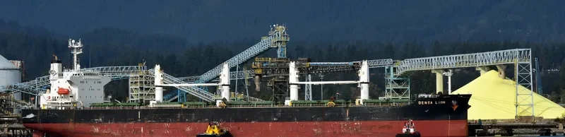 DENSA LION Bulk Carrier IMO 9432464 photo 3