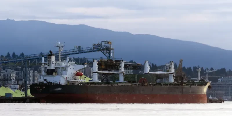 DENSA LION Bulk Carrier IMO 9432464 photo 4