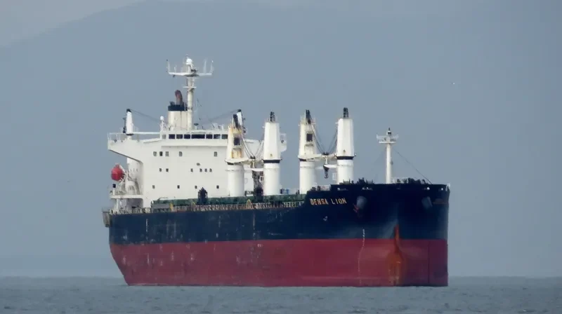 DENSA LION Bulk Carrier IMO 9432464 photo 5