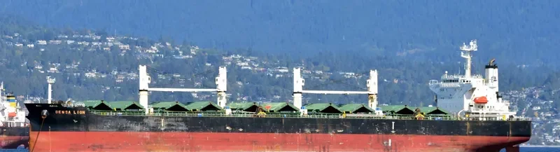 DENSA LION Bulk Carrier IMO 9432464 photo 6