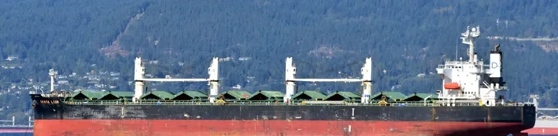 DENSA LION Bulk Carrier IMO 9432464 photo 7