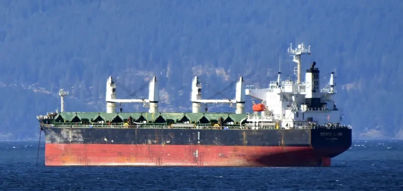 DENSA LION Bulk Carrier IMO 9432464 photo 8