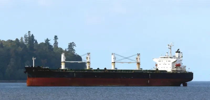 DENSA LION Bulk Carrier IMO 9432464 photo 9