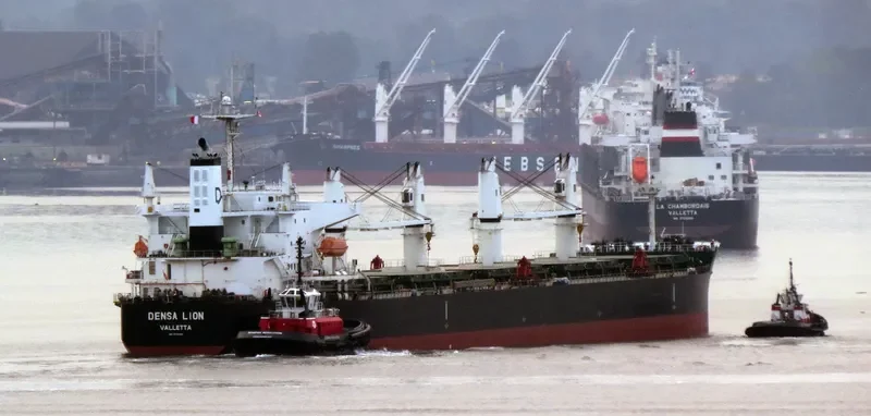 DENSA LION Bulk Carrier IMO 9432464 photo 10