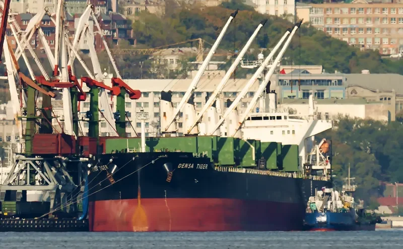 DENSA TIGER Bulk Carrier IMO 9432476 photo 2