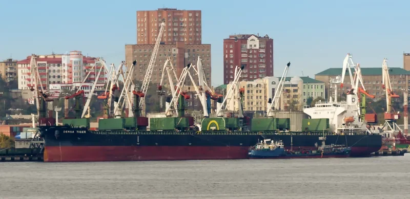 DENSA TIGER Bulk Carrier IMO 9432476 photo 3