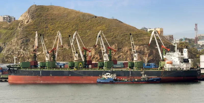 DENSA TIGER Bulk Carrier IMO 9432476 photo 4
