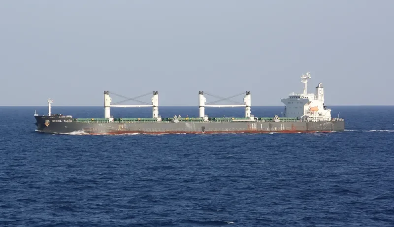 DENSA TIGER Bulk Carrier IMO 9432476 photo 5