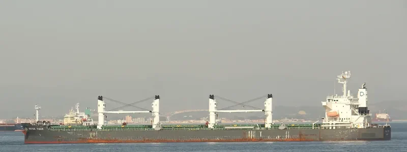 DENSA TIGER Bulk Carrier IMO 9432476 photo 6