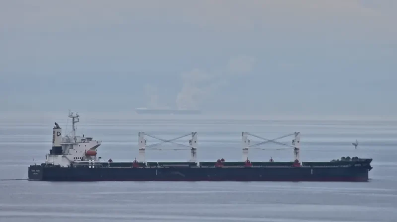 DENSA TIGER Bulk Carrier IMO 9432476 photo 10
