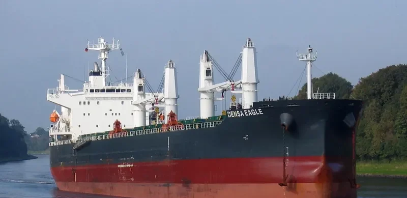 DENSA EAGLE Bulk Carrier IMO 9432488