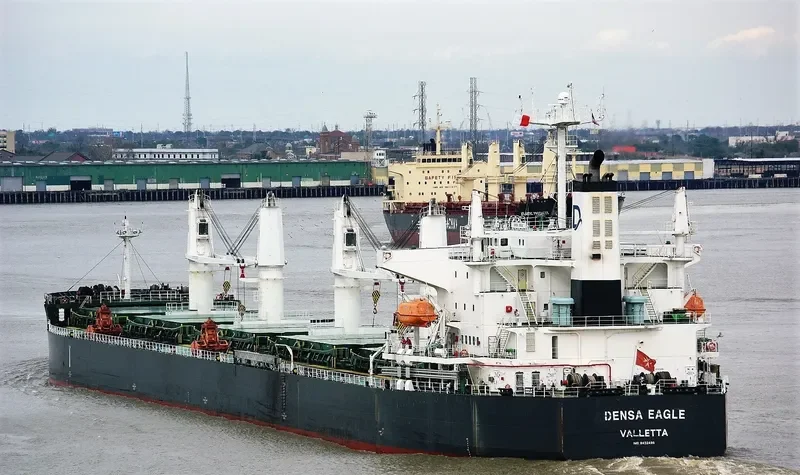 DENSA EAGLE Bulk Carrier IMO 9432488 photo 2