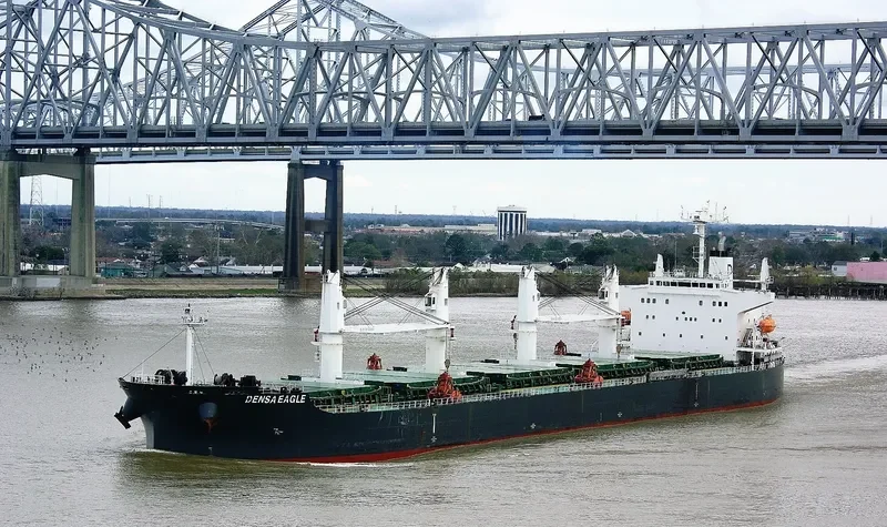 DENSA EAGLE Bulk Carrier IMO 9432488 photo 3