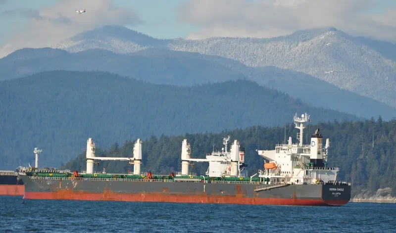 DENSA EAGLE Bulk Carrier IMO 9432488 photo 4