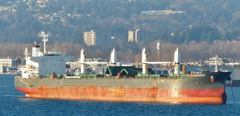 DENSA EAGLE Bulk Carrier IMO 9432488 photo 5