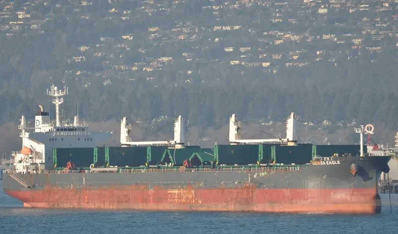 DENSA EAGLE Bulk Carrier IMO 9432488 photo 6