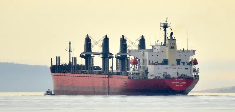 OLYMPIA LOGGER Bulk Carrier IMO 9432529