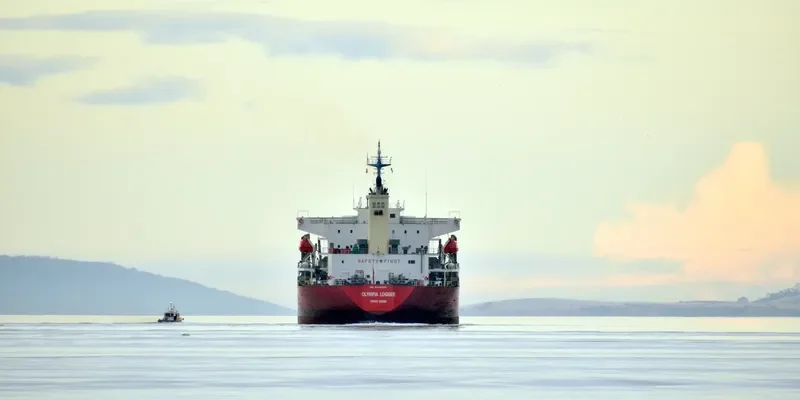 OLYMPIA LOGGER Bulk Carrier IMO 9432529 photo 2