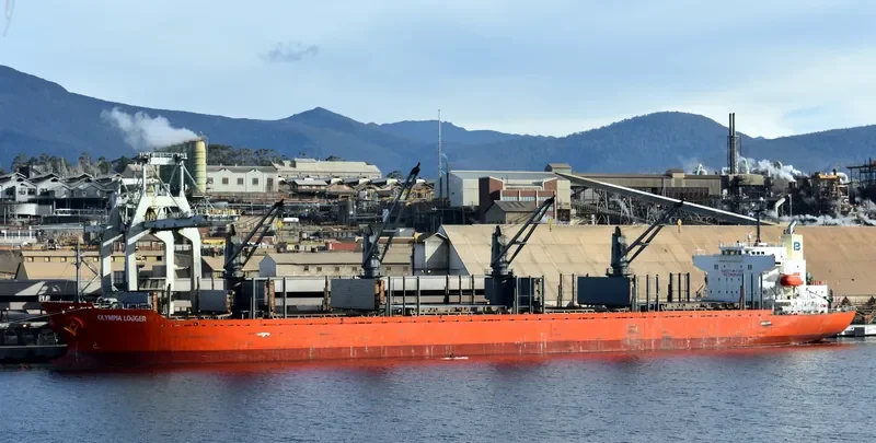 OLYMPIA LOGGER Bulk Carrier IMO 9432529 photo 3
