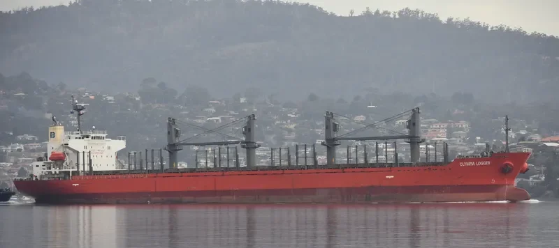 OLYMPIA LOGGER Bulk Carrier IMO 9432529 photo 4