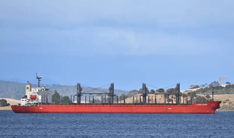 OLYMPIA LOGGER Bulk Carrier IMO 9432529 photo 5