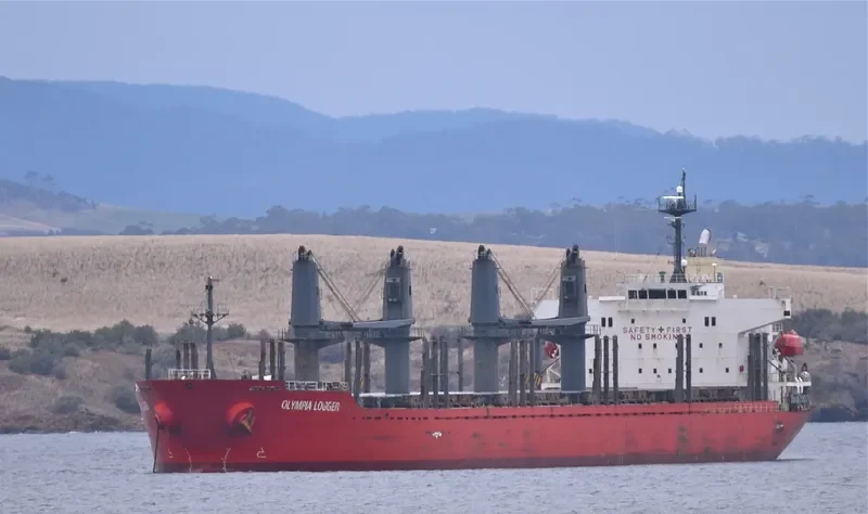 OLYMPIA LOGGER Bulk Carrier IMO 9432529 photo 6