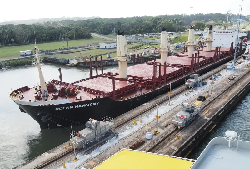 OLYMPIA LOGGER Bulk Carrier IMO 9432529 photo 7