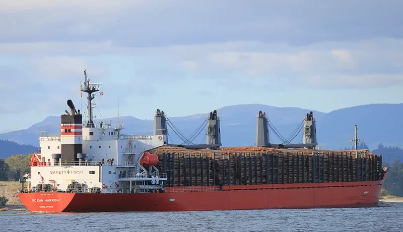 OLYMPIA LOGGER Bulk Carrier IMO 9432529 photo 8