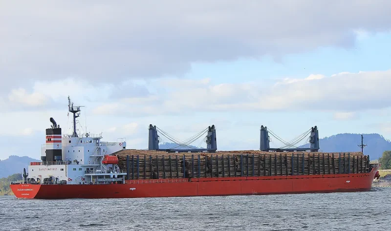OLYMPIA LOGGER Bulk Carrier IMO 9432529 photo 9
