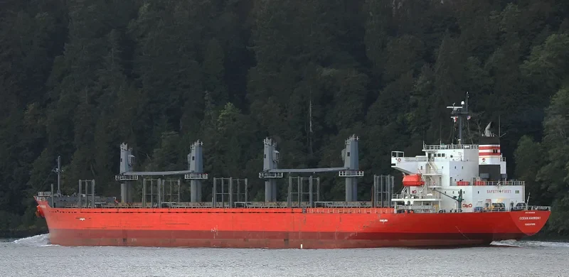 OLYMPIA LOGGER Bulk Carrier IMO 9432529 photo 10