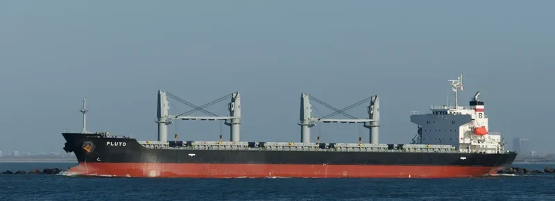 PLUTO Bulk Carrier IMO 9432531 photo 7