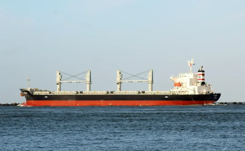 PLUTO Bulk Carrier IMO 9432531 photo 10