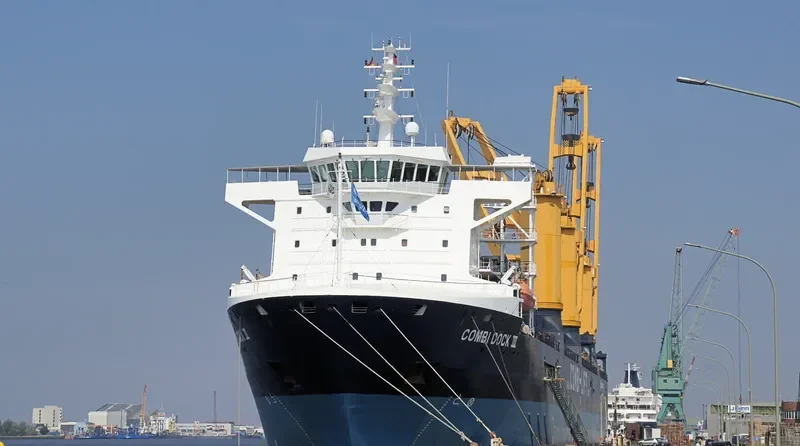 DOCK III General Cargo IMO 9432828 photo 7