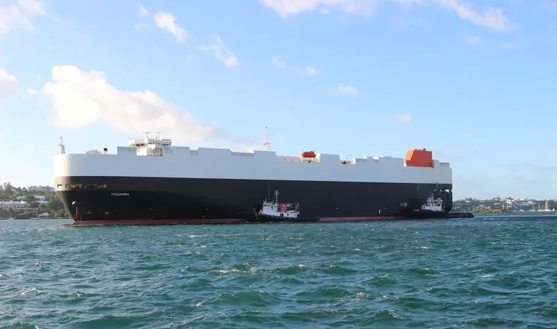 LAKE WANAKA General Cargo IMO 9432892 photo 8