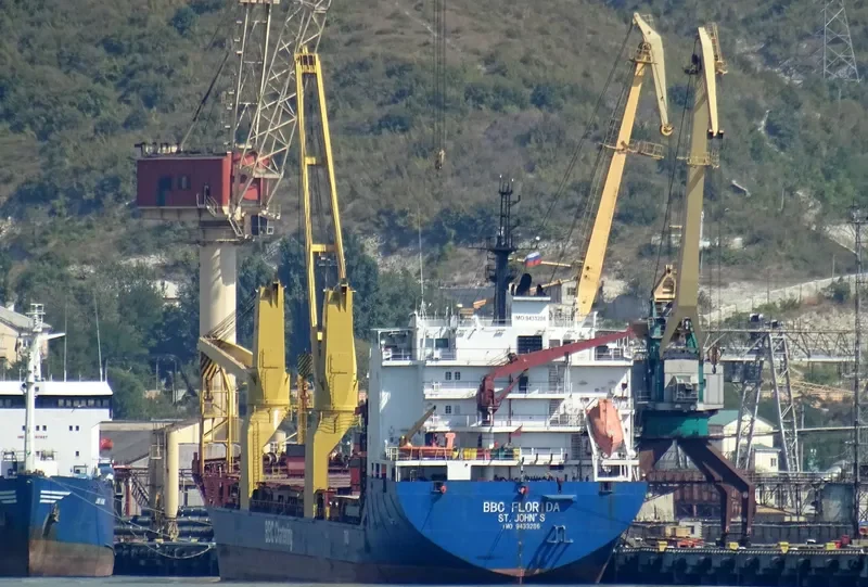 MYS FLORA General Cargo IMO 9433286