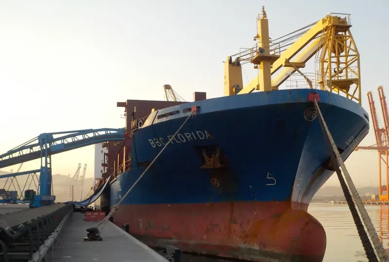 MYS FLORA General Cargo IMO 9433286 photo 9
