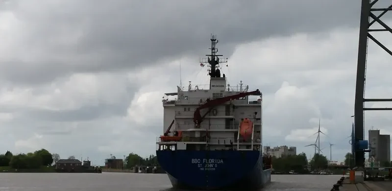 MYS FLORA General Cargo IMO 9433286 photo 10