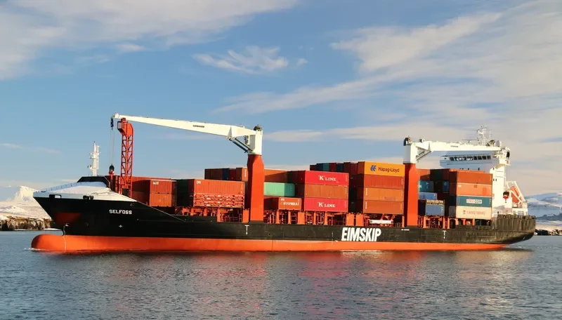 SELFOSS Container Ship IMO 9433456
