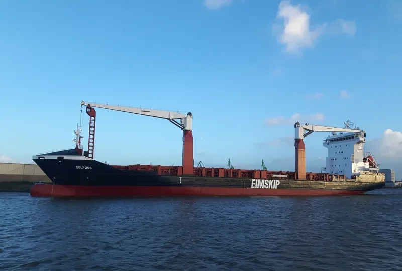 SELFOSS Container Ship IMO 9433456 photo 3