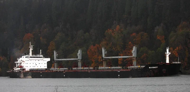 MARINER Bulk Carrier IMO 9433559 photo 3