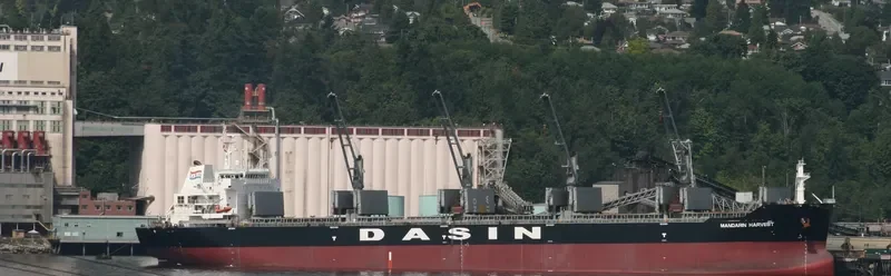 MARINER Bulk Carrier IMO 9433559 photo 9