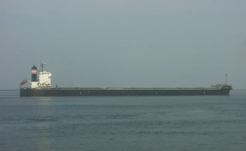 KEY DISCOVERY Bulk Carrier IMO 9433602 photo 8