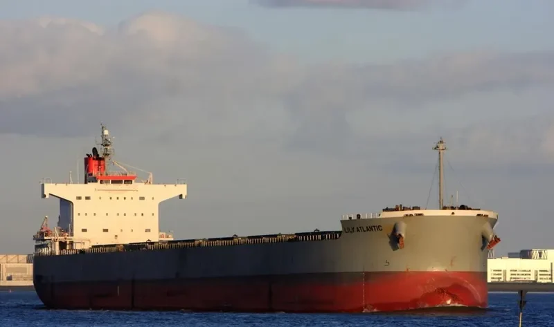 LILY ATLANTIC Bulk Carrier IMO 9433614 photo 3
