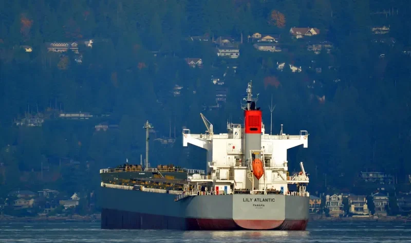 LILY ATLANTIC Bulk Carrier IMO 9433614 photo 9