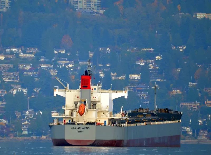 LILY ATLANTIC Bulk Carrier IMO 9433614 photo 10