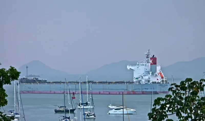 ETERNAL BLISS Bulk Carrier IMO 9433626 photo 2