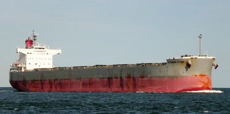 ETERNAL BLISS Bulk Carrier IMO 9433626 photo 3