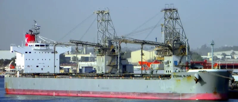 ETERNAL BLISS Bulk Carrier IMO 9433626 photo 6