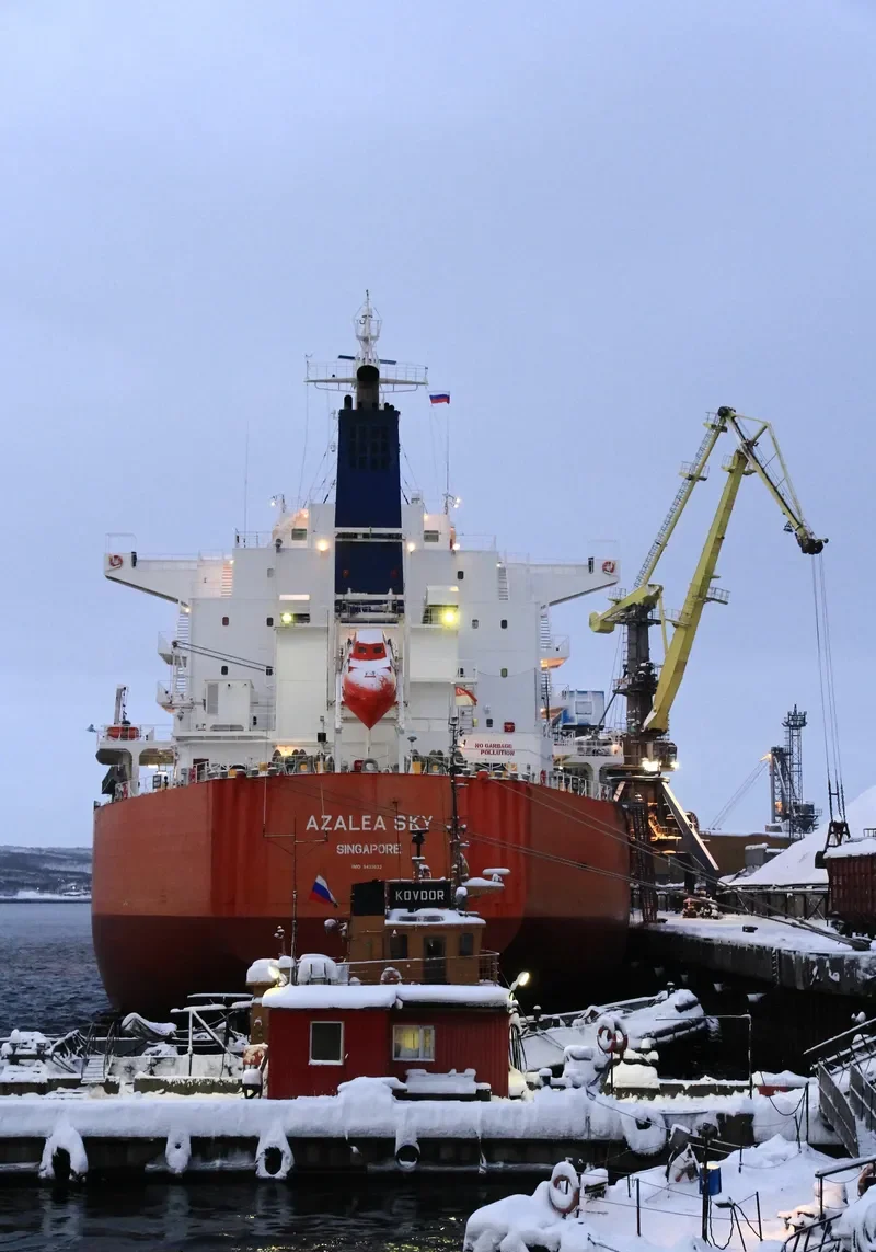 PAREA Bulk Carrier IMO 9433652